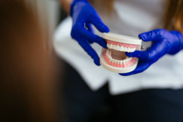 Reliable West Reading, PA Holistic Dental Care Services Solutions